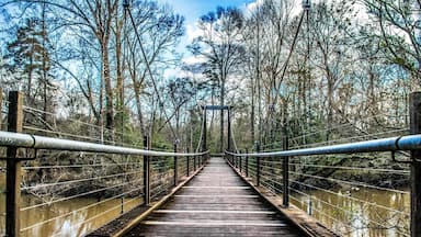 Tickfaw State Park is recognized as one of 110 sites on the Louisiana Natural Areas Register... a great place to hike!