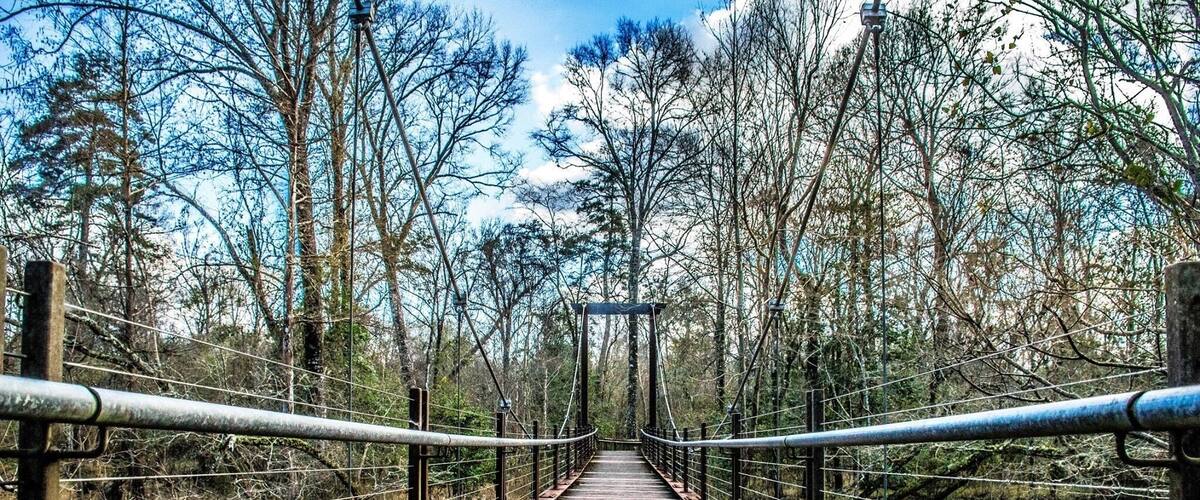 A wooden suspension bridge over a river, surrounded by trees.