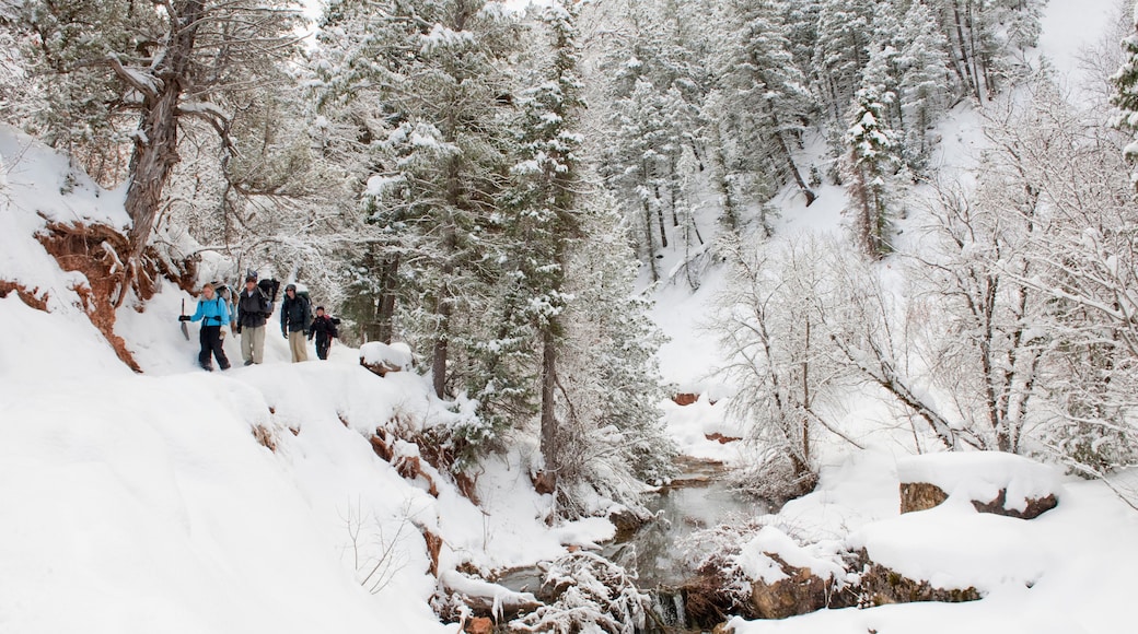 (front to back) Jill Baker, Matt Conn, Thom Allen, and Annette Maza backpack along a snowy trail above a stream after a night of winter camping in Diamond Fork, Springville, Utah.