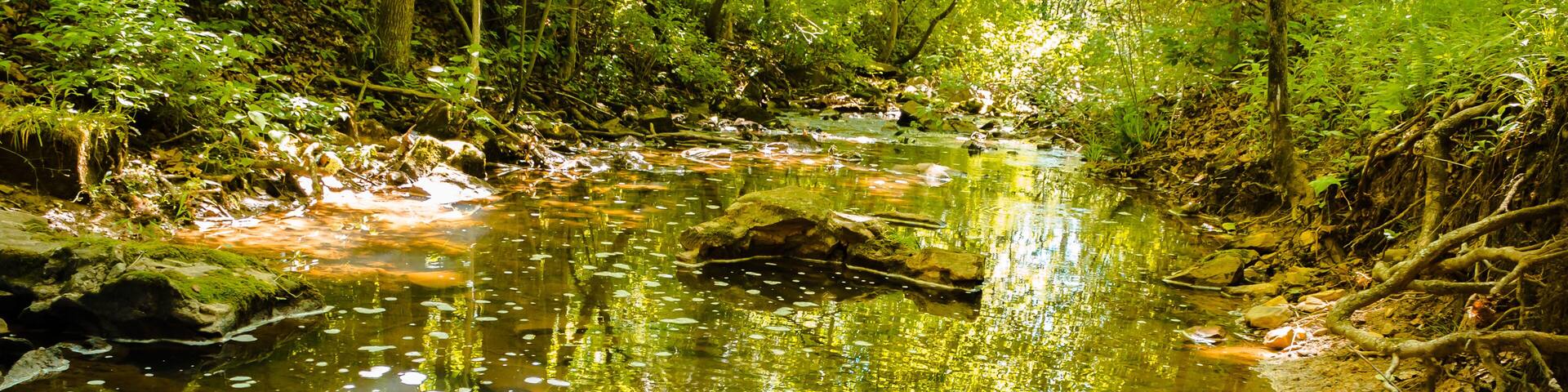 Creek running underneath a bridge in Blue Spruce Park