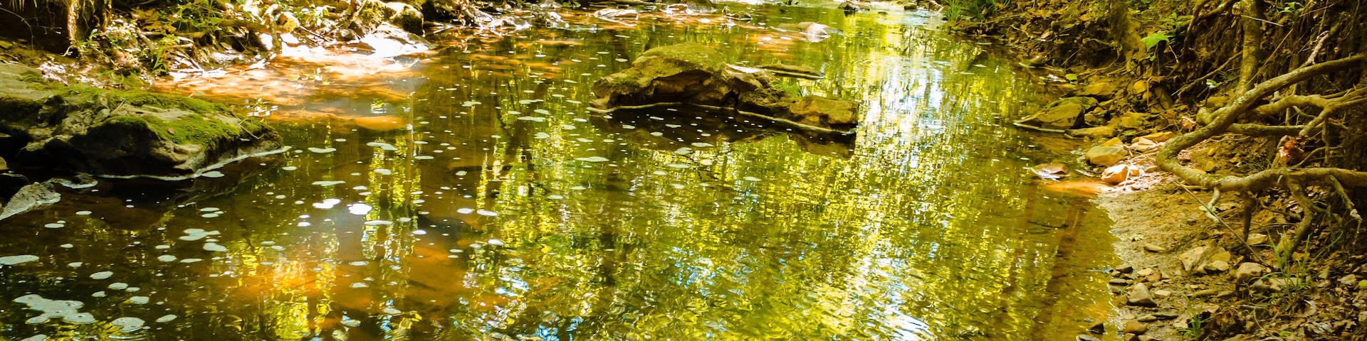 Creek running underneath a bridge in Blue Spruce Park