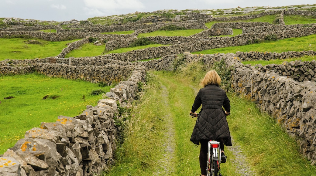 Ireland, Aran Islands, Inishmore, Zigzagging.
Zigzagging the way trough the green Ireland fields and limestone walls where bicycle serves better than a car.
#LifeAtExpedia