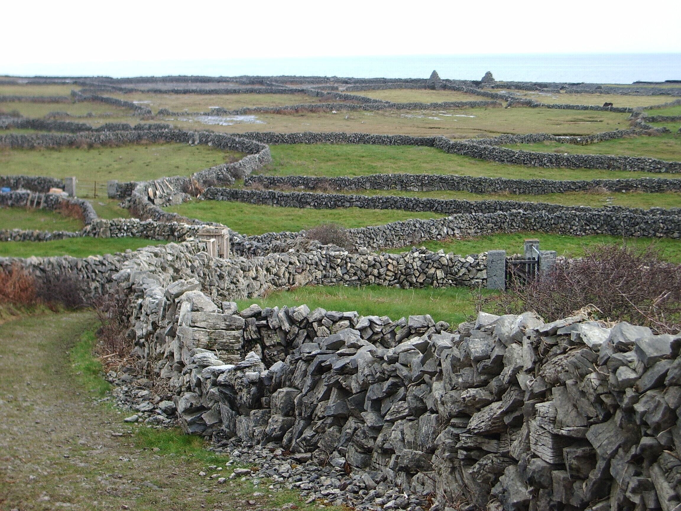 A stone wall leading to a coastal area with grassy fields and a distant view of the sea.