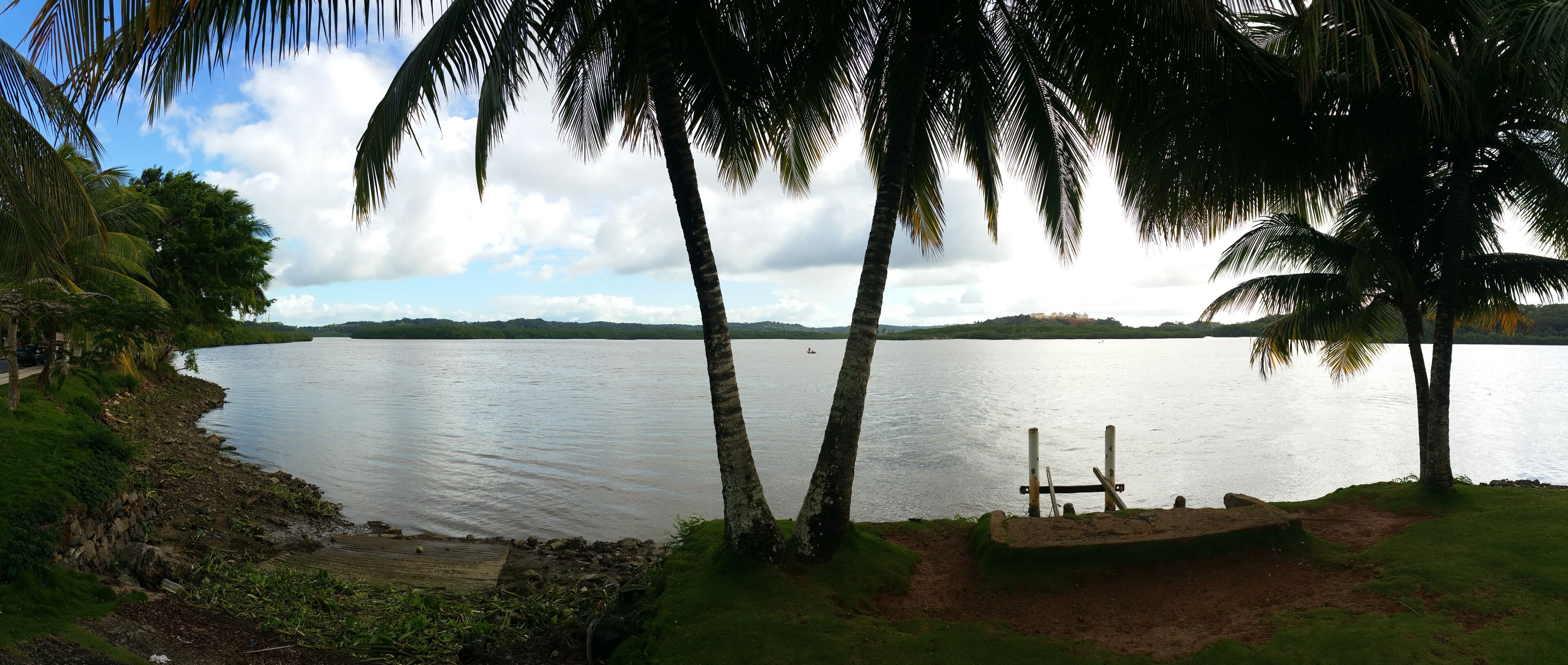 A calm lake with palm trees, a sandy area, and distant hills.