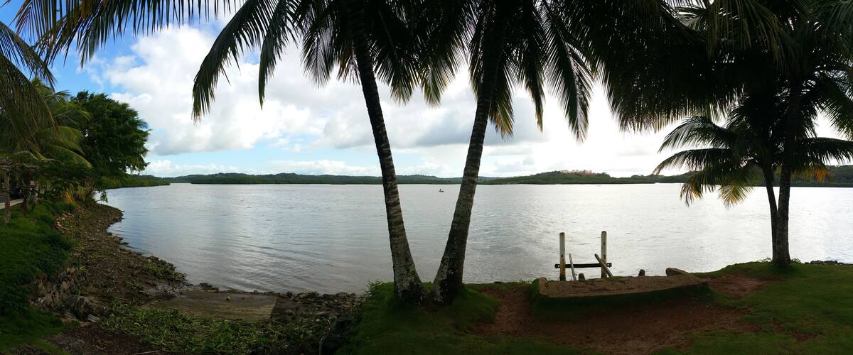A calm lake with palm trees, a sandy area, and distant hills.