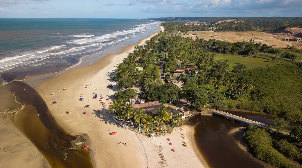 Drone Aerial View from Cururupe Beach in Ilhéus Bahia - Northeast Brazil