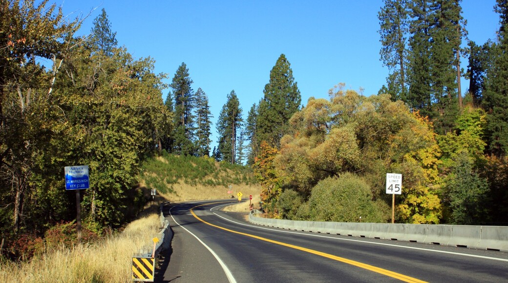 St. Maries showing tranquil scenes