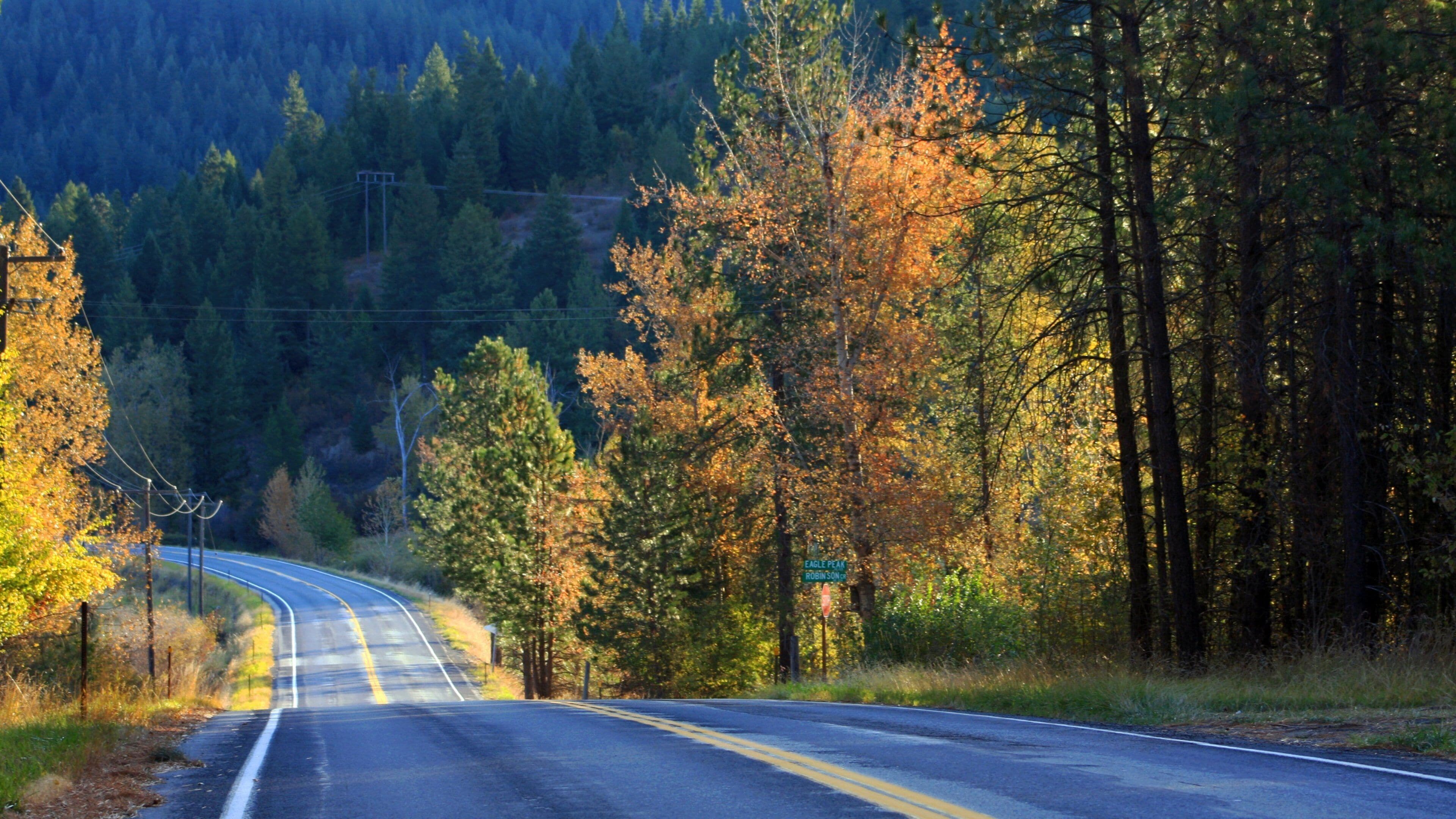 St. Maries which includes forest scenes
