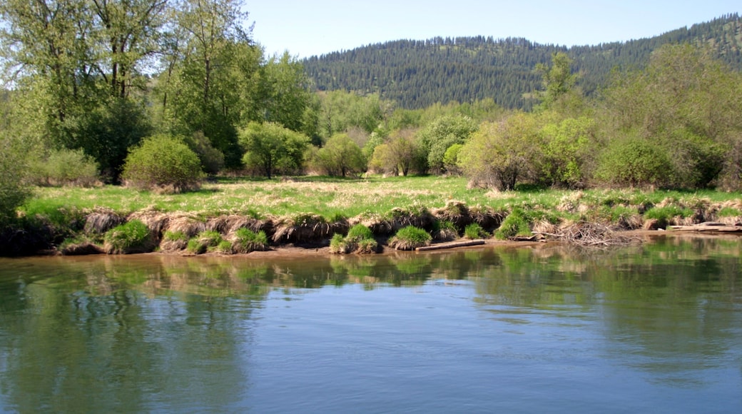 St. Maries featuring a river or creek and forest scenes