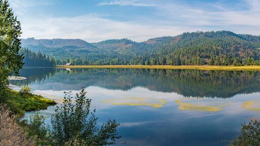 ์ธ์ธํธ ๋ฉ๋ฆฌ์ค