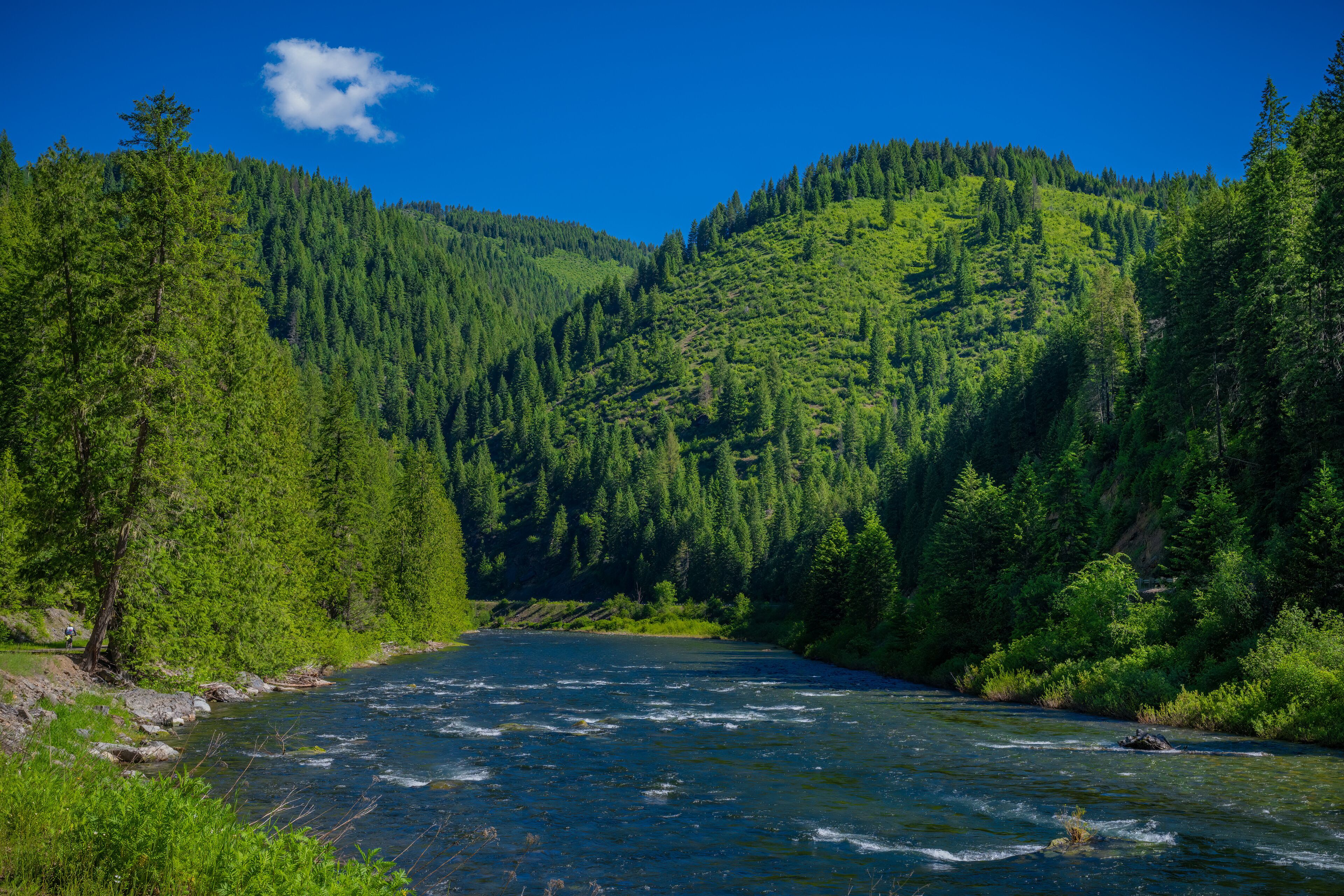 Un río serpentea por un valle boscoso, con árboles verdes y un cielo azul despejado.