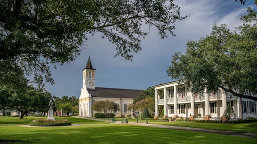 سانت مارتنفيل