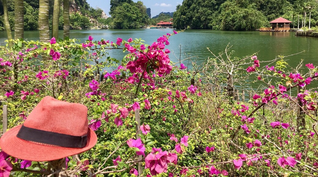 Gunung Lang around Ipoh. #malaysia #ipoh #nature #world #asia