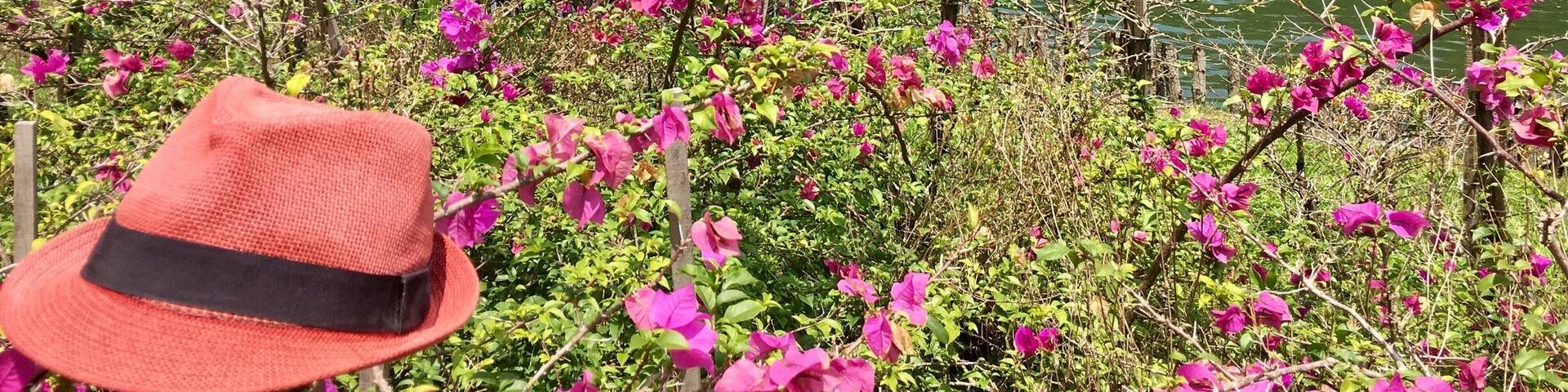 Gunung Lang around Ipoh. #malaysia #ipoh #nature #world #asia
