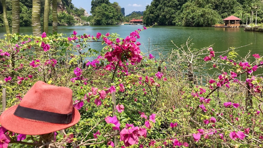 Gunung Lang around Ipoh. #malaysia #ipoh #nature #world #asia