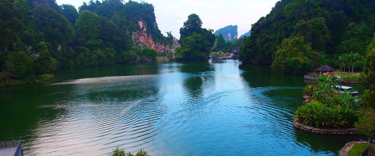 A river surrounded by lush greenery and a wooden bridge.
