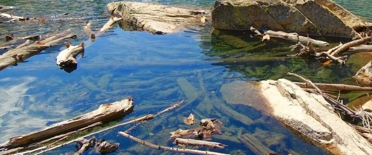 You have to work to get here. Not many find it.
#hiking #idaho #roadtrip #summer #lake