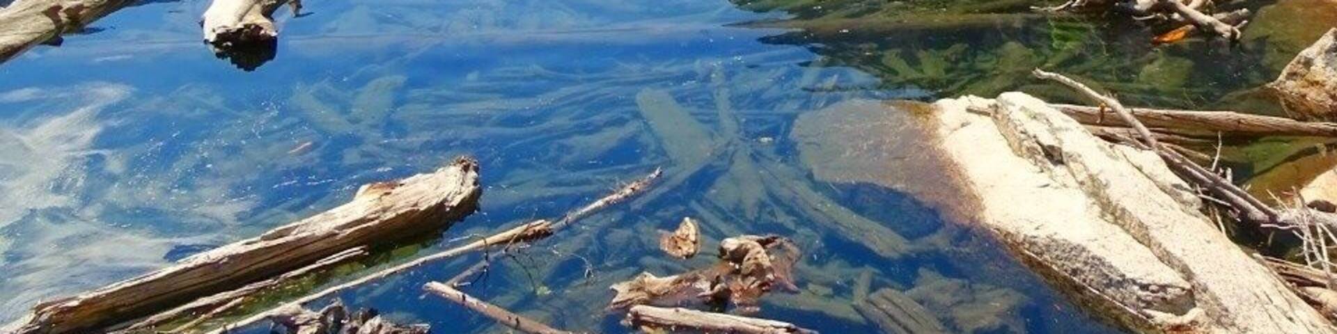 You have to work to get here. Not many find it.
#hiking #idaho #roadtrip #summer #lake