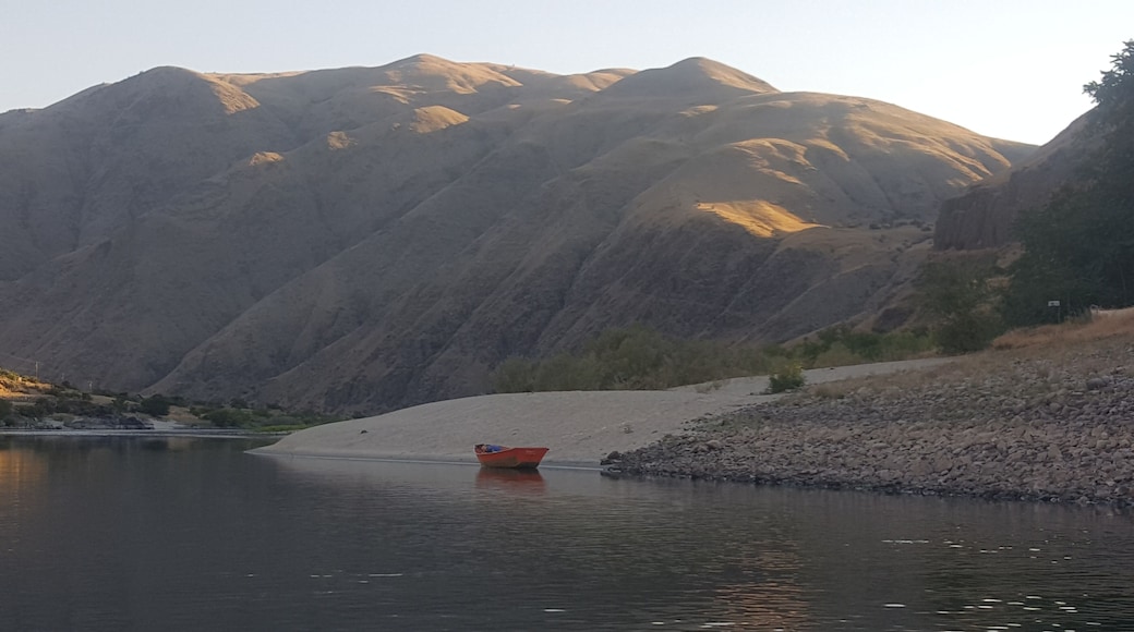 Quiet morning sturgeon fishing and came across the boat and beach.