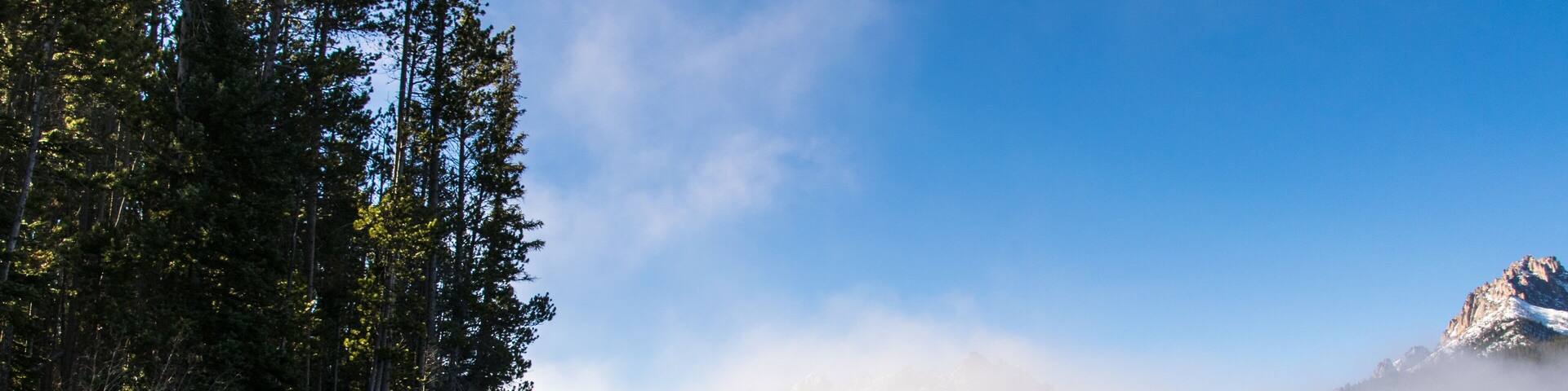 Redfish in the Fall.