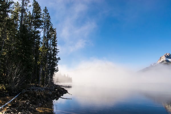 Redfish in the Fall.