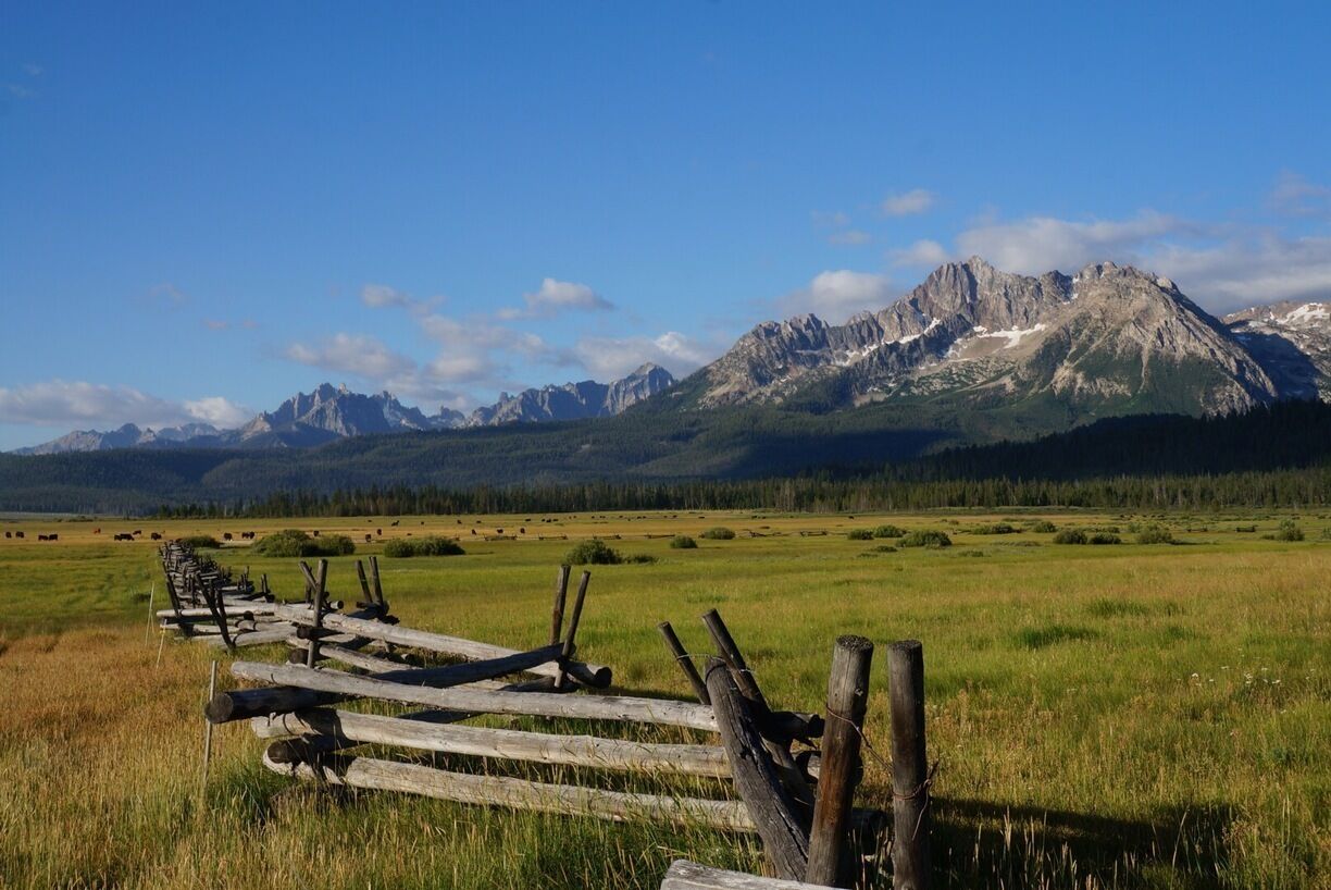 Gorgeous views from Goat Creek at the foot of the Sawtooth Mountain Range near Stanley, Idaho. #RoadTrip #BucketList #Majesty