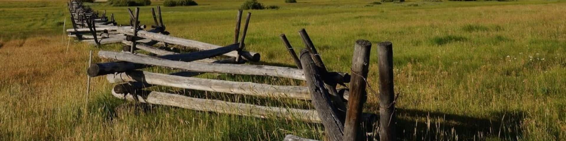Gorgeous views from Goat Creek at the foot of the Sawtooth Mountain Range near Stanley, Idaho. #RoadTrip #BucketList #Majesty