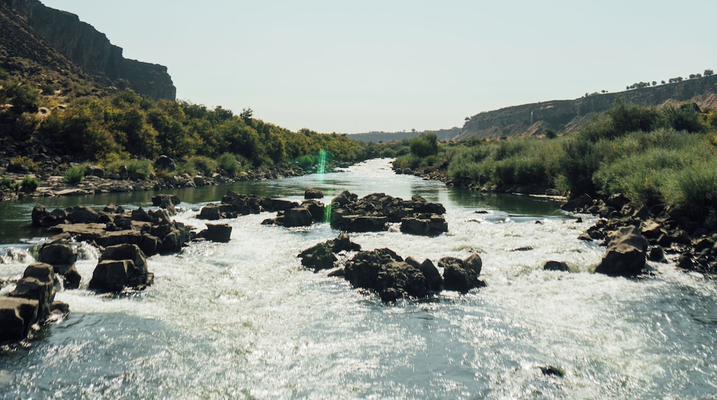 Standing in the middle of the snake river in Twin Falls, ID