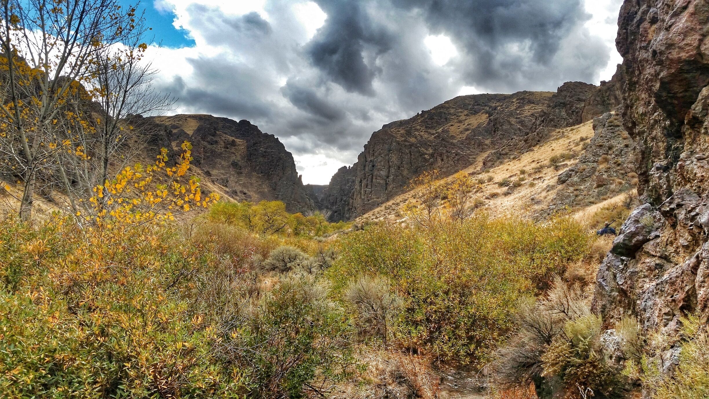 Chasing birds in the Owyhee Desert. The desert is so beautiful! So many overlook its beauty! I love hiking out here. 