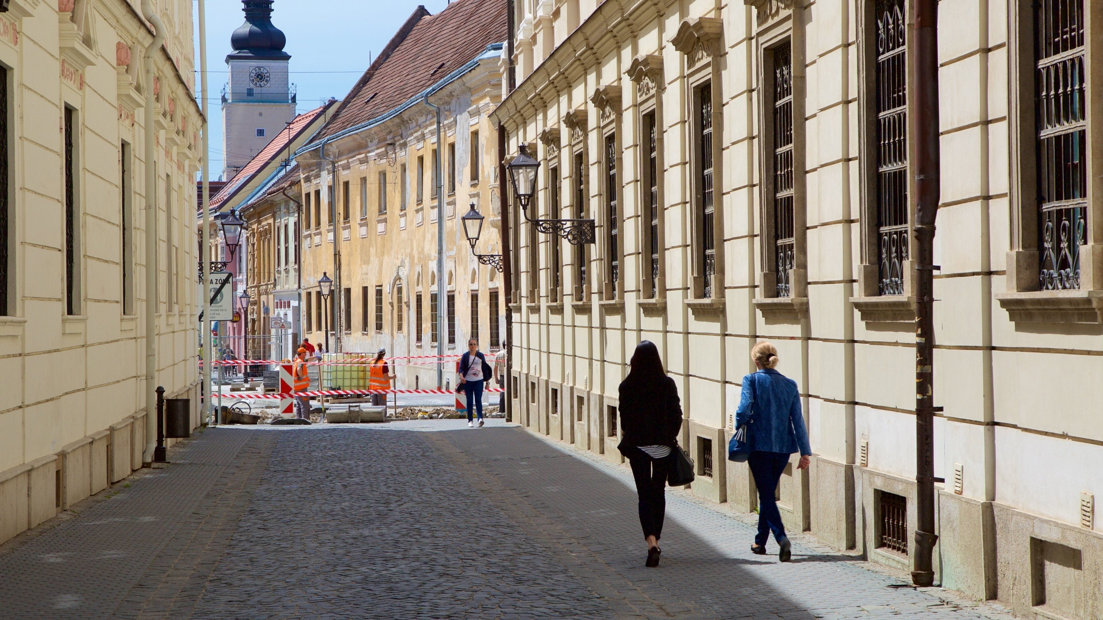 Eslovaquia que incluye imágenes de calles