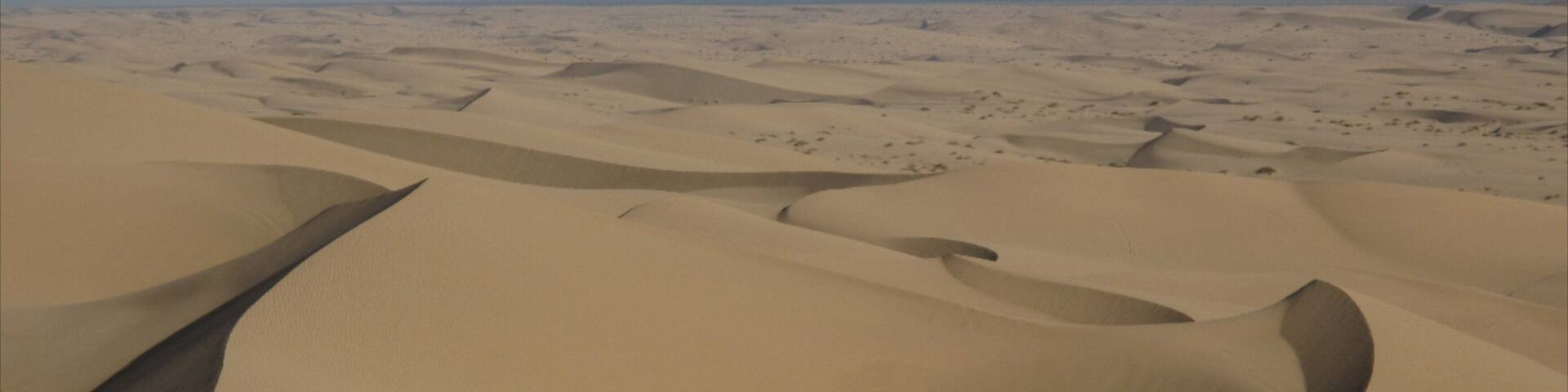 El Centro showing desert views and landscape views