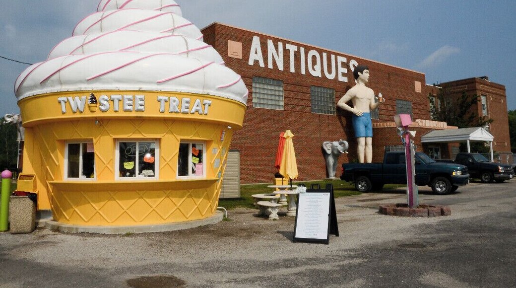 Mini Takes the States 2014 Road Rally St. Louis to Chicago Leg:
OMG.... This place is a roadside bonanza !
This is the stuff of roadtrips - Flying saucer house, muffler man, giant pink elephant, twistee treat building and all that is just in yard... go inside for vintage cool stuff overload. Have some ice cream and browse.
#MTTS2014 #minitakesthestates #go11 #vintage #roadtrip