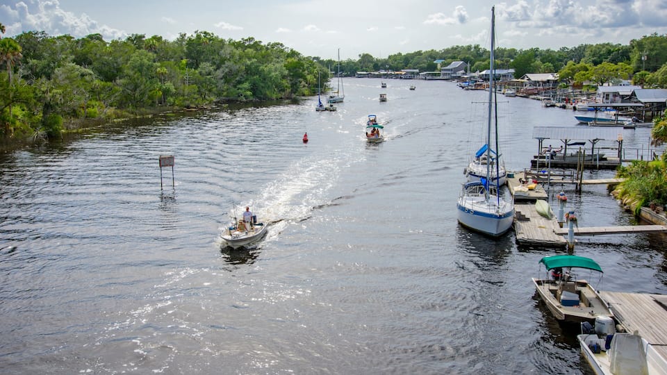 A river with boats, a dock, and a forested area.