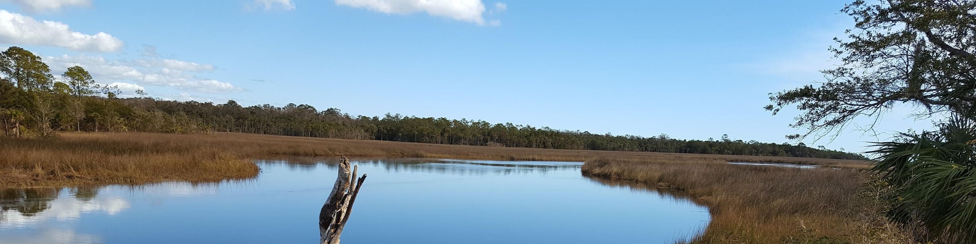 Steinhatchee Waterway