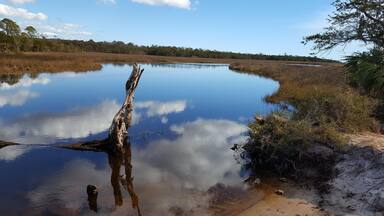 Steinhatchee Waterway