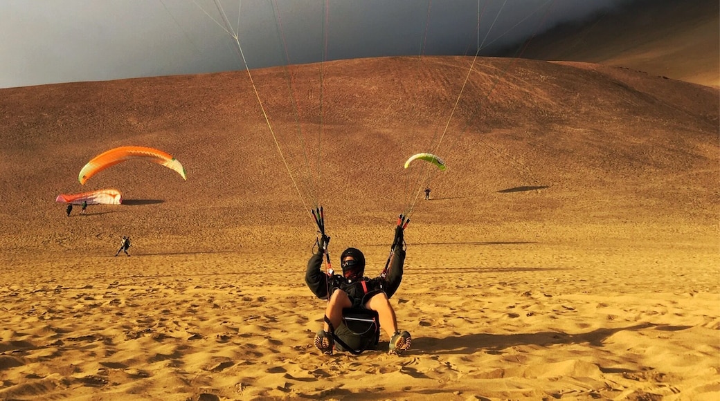 Paragliding at Palo Buque in the evening.