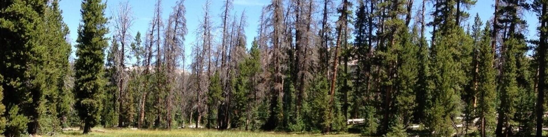Loop from Palisade Lake