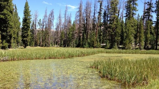 Loop from Palisade Lake