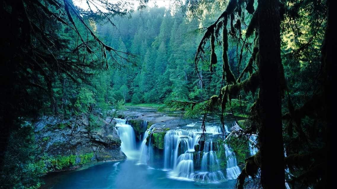 Drove for 2 1/2 hours to get to this breathtaking falls near Cougar, Washington.  I wanted to beat the crowds.  I think this image says that it was worth the effort. 