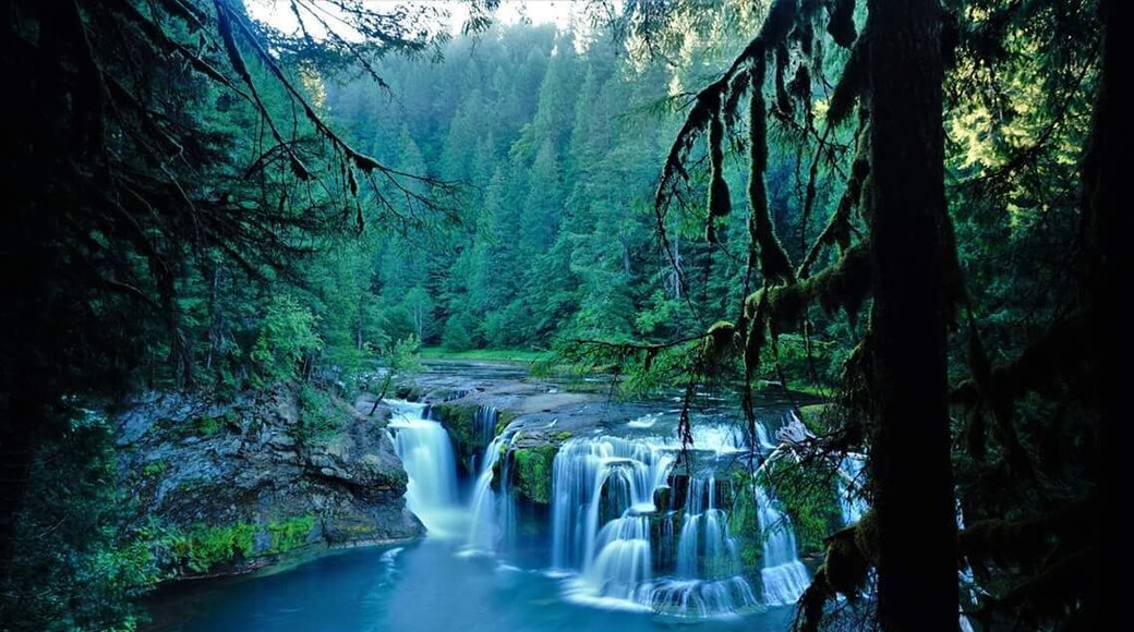 Drove for 2 1/2 hours to get to this breathtaking falls near Cougar, Washington. I wanted to beat the crowds. I think this image says that it was worth the effort.