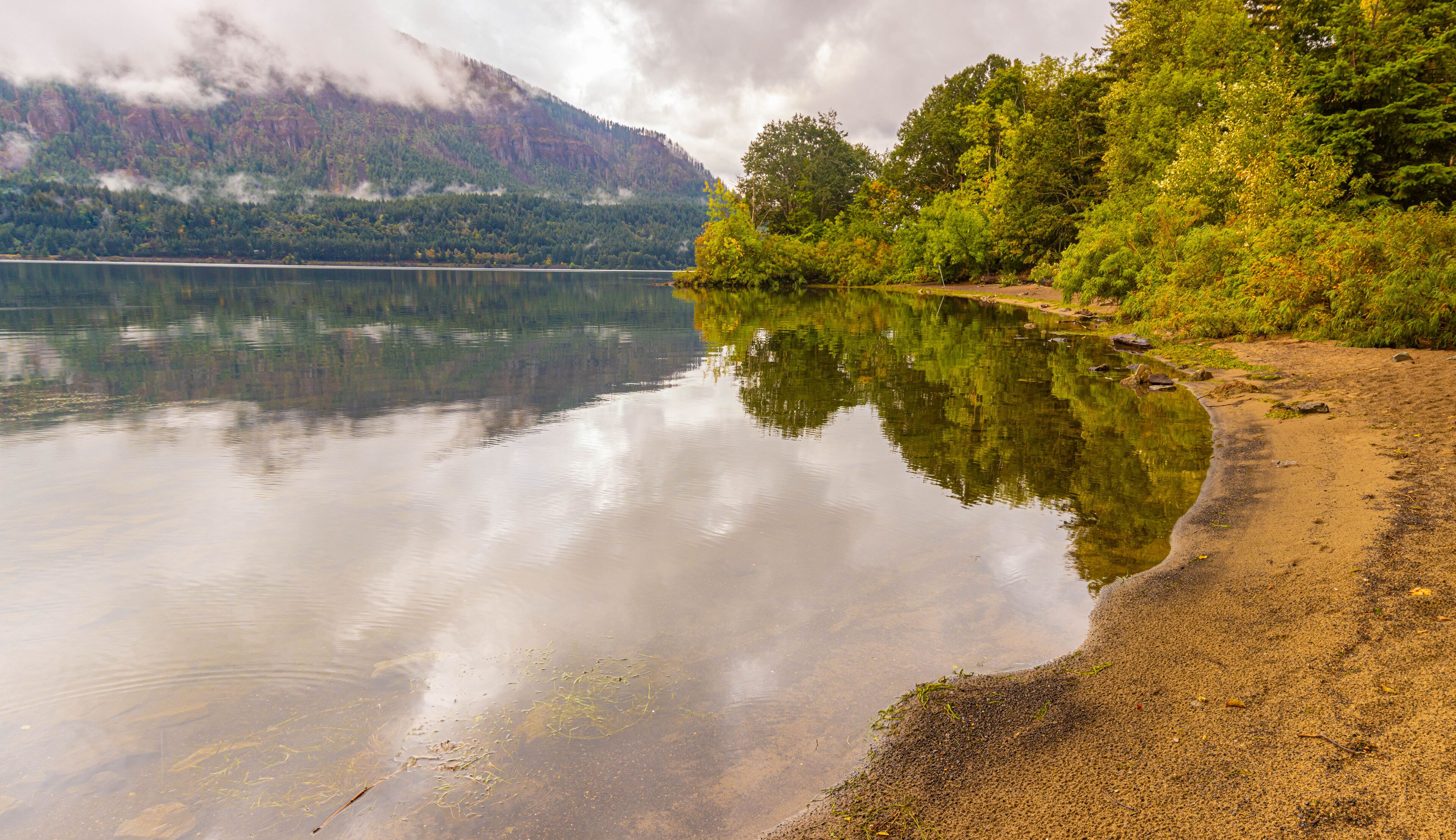 A calm lake with clear reflections, surrounded by dense forest and mountains in the background.