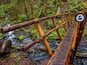 A wooden bridge over a stream with moss-covered rocks and ferns.