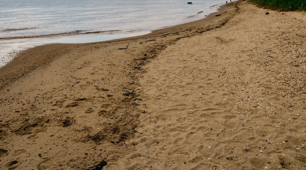 Terrapin Nature Park and Beach