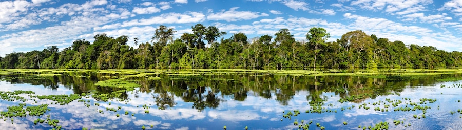 Un paisatge tranquil amb un llac envoltat de bosc dens i un cel serè.