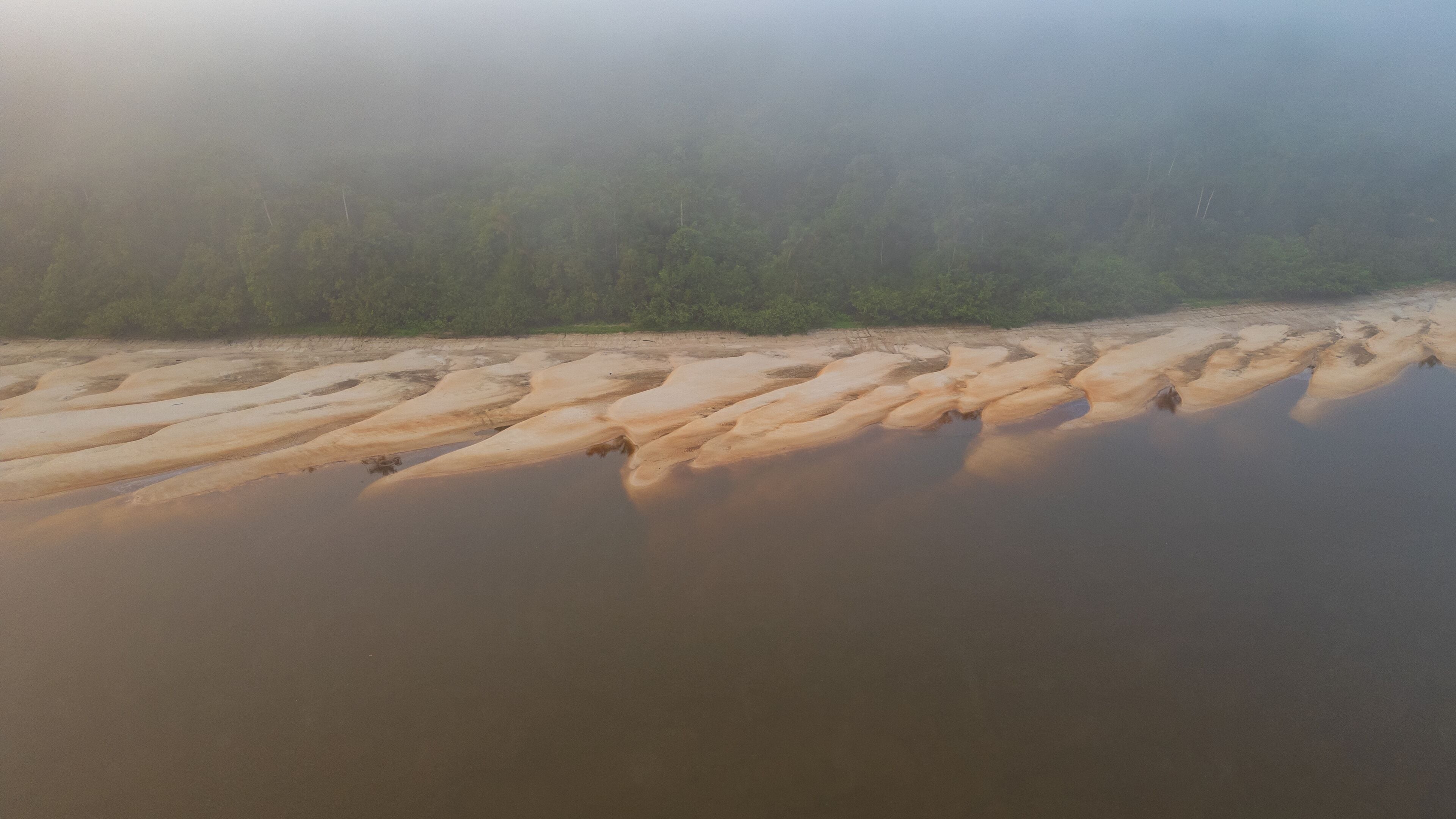 Une rivière aux rives sablonneuses, avec une zone boisée en arrière-plan.