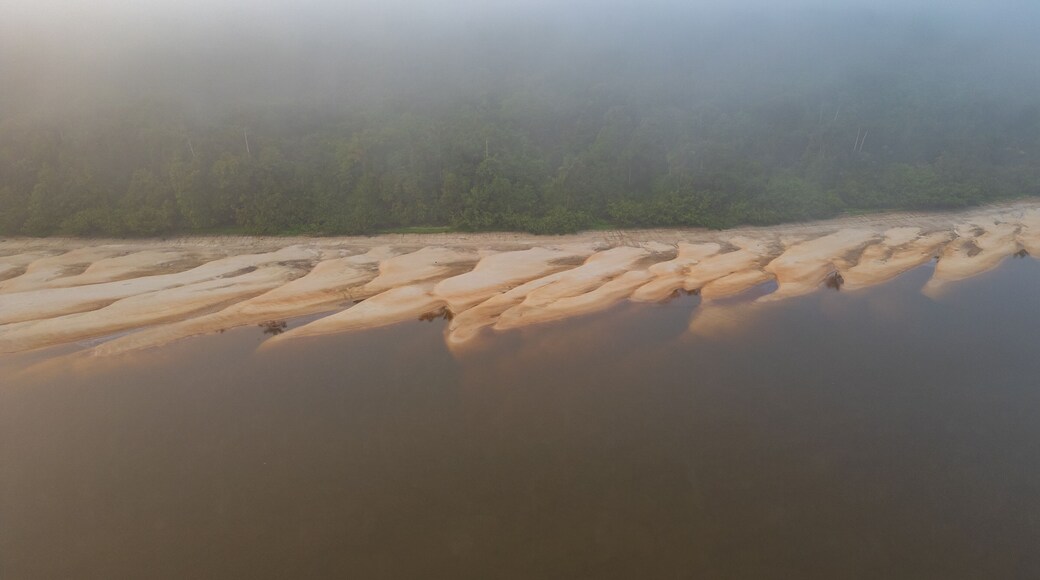 Une riviÚre aux rives sablonneuses, avec une zone boisée en arriÚre-plan.