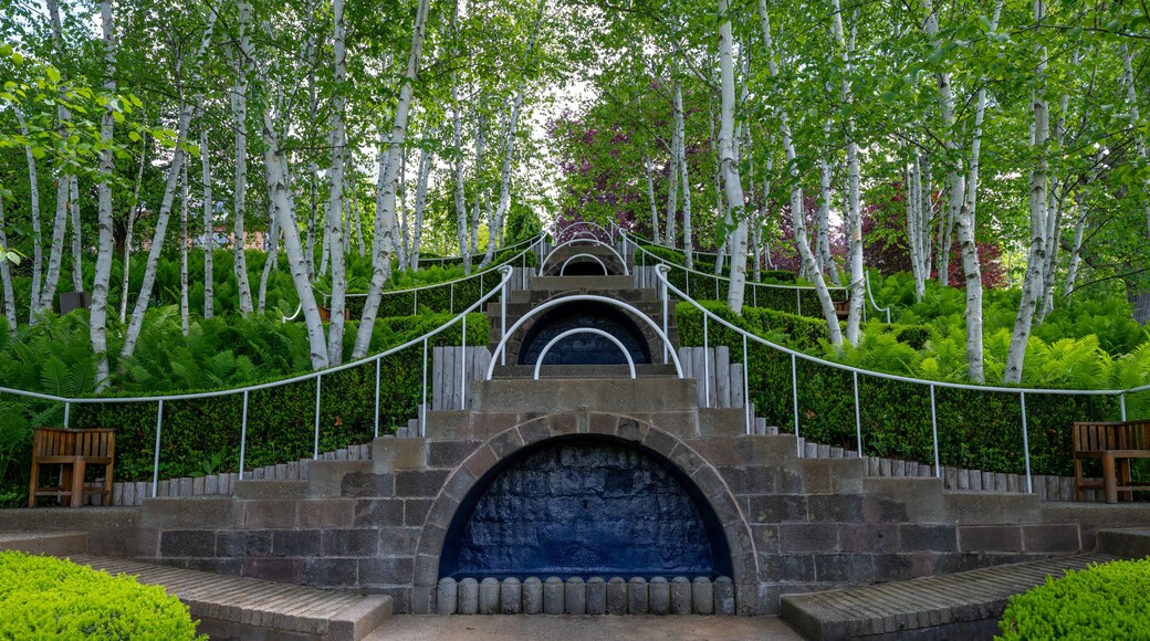 A stone staircase leading up to a blue arched entrance, surrounded by lush greenery and birch trees.