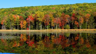 Vivid autumn foliage reflected in a calm lake surrounded by a dense forest under a clear blue sky in Stockbridge, Massachusetts