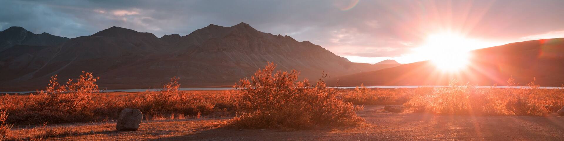 Autumn in polar tundra