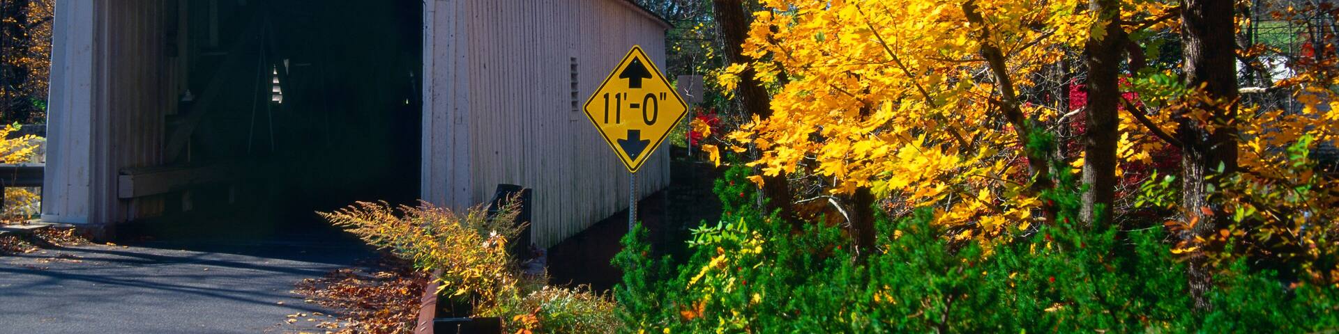 Covered bridge in a forest, Green Sergeant's Covered Bridge, Stockton, New Jersey, USA